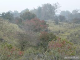 re-circum-2016-10-26-12-43-34
