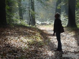 cl-circum-elswoutherfst-20121022-112