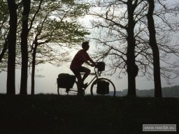 re-cyclo-19950430-006