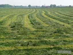 re-cyclo_2009-05-01_17-22-22