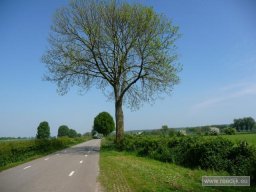 re-cyclo_2009-05-02_11-55-09