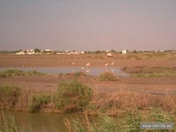 re-cyclo-19950710-217