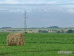 re-cyclo_2008-07-03_09-07-18