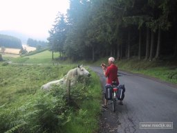 re-cyclo_2008-07-12_11-29-09