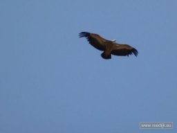 re-cyclo-2013-08-05_12-21-11