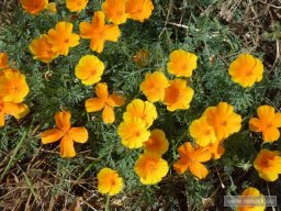 re-cyclo-2015-08-03-15-52-30
